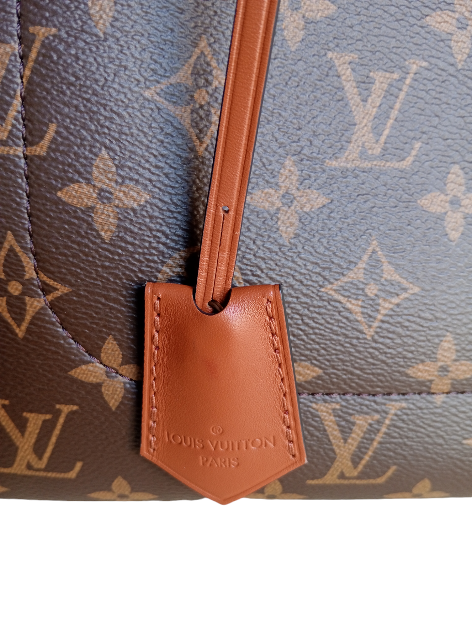 Bolso Flower Tote Multicolor de Louis Vuitton