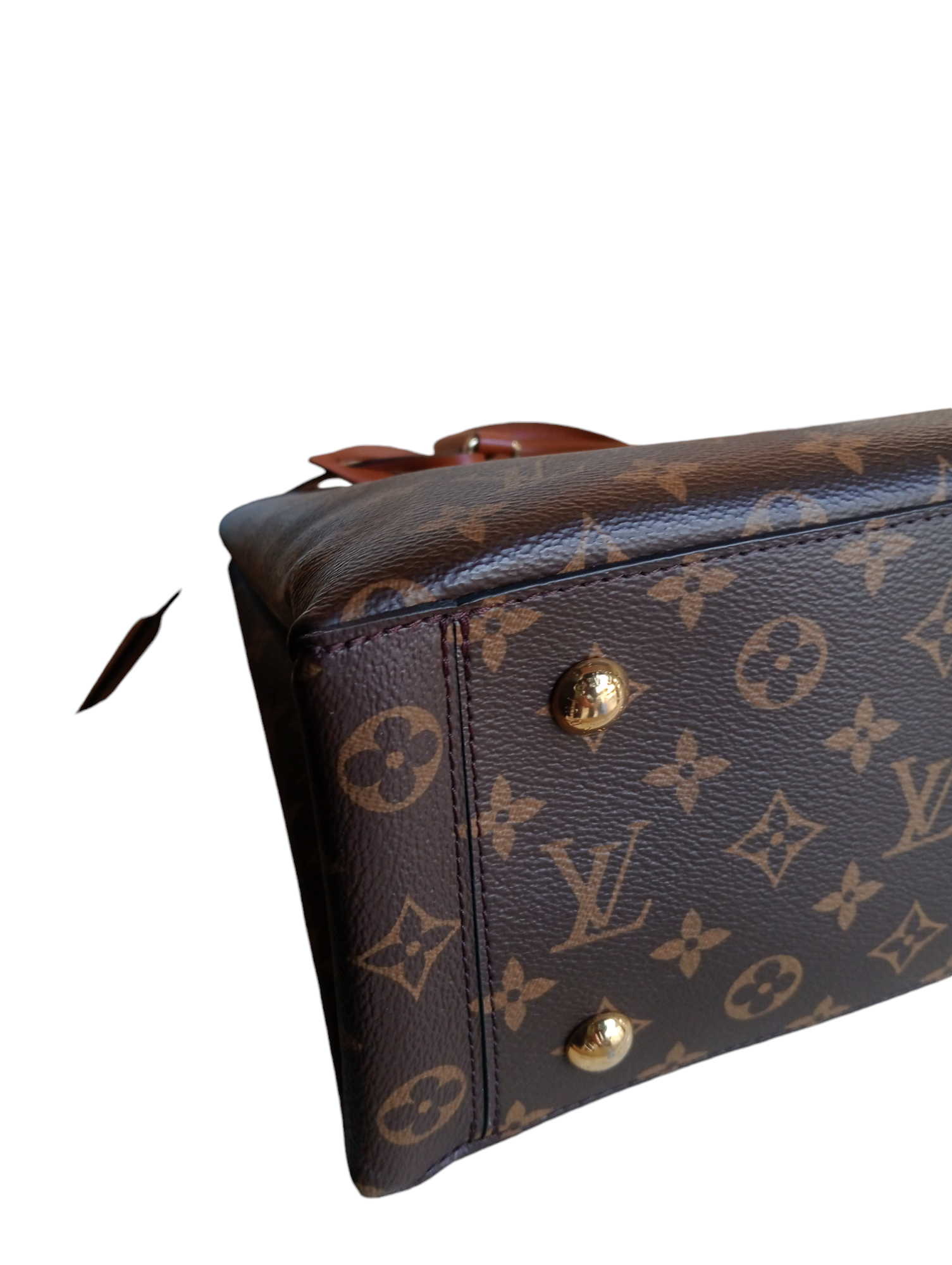 Bolso Flower Tote Multicolor de Louis Vuitton