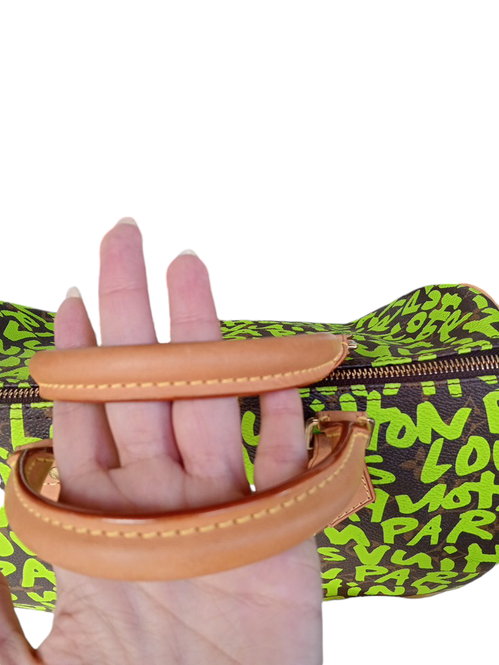 Bolso Speedy Multicolor de Louis Vuitton