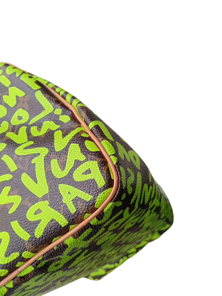 Bolso Speedy Multicolor de Louis Vuitton