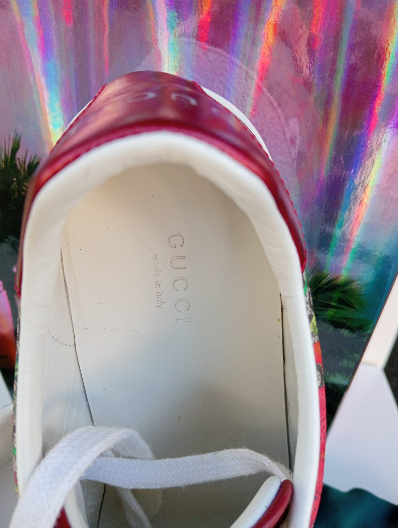 Zapatos de Cuero Multicolor Gucci