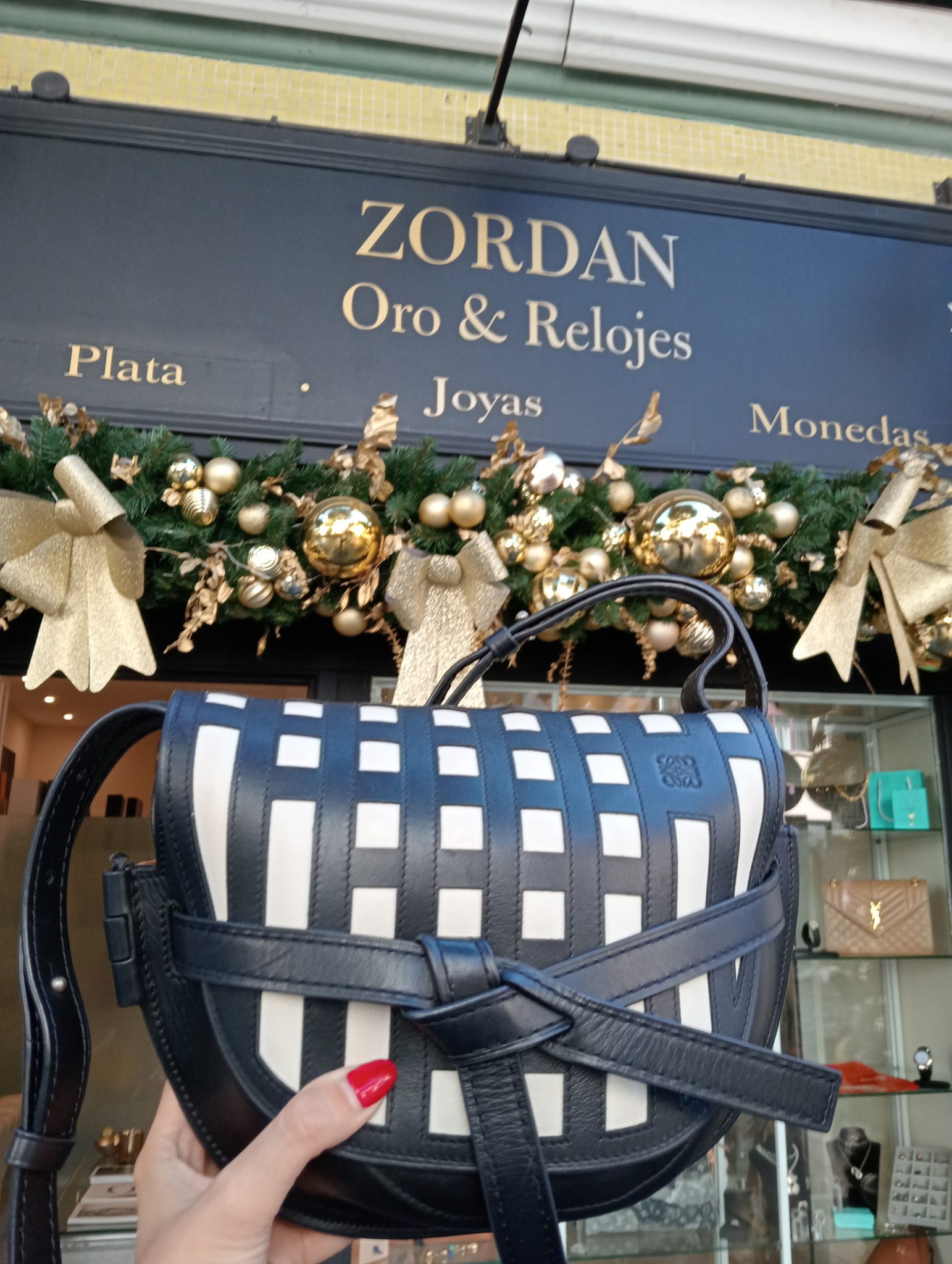 Loewe Calfskin Small